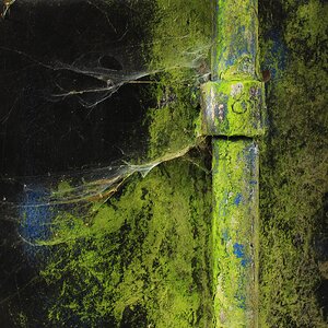 Der Zahn der Zeit.jpg