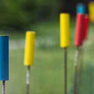 Farbfestival - ohne Tulpen :-)