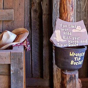 Nach dem Ausritt_DSC09059a.jpg