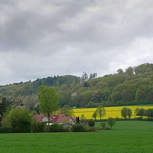 Wiehengebirge im Frühlingsregen