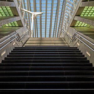 Hinauf aus dem Untergrund