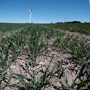 Der weisse Riese I
