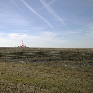 Deichstrich Westerhever