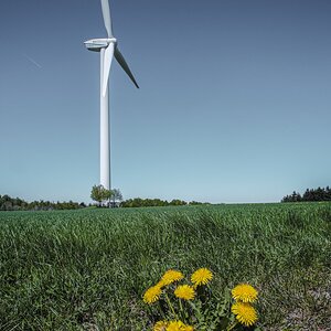 Der weisse Riese II