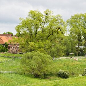 Ländliche Idylle