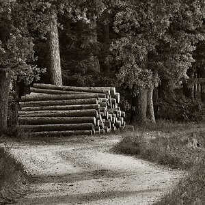 am Holzweg