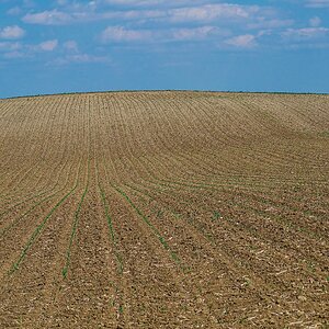 bis zum Horizont