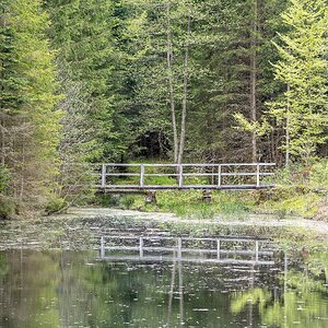 Kaltenbachsee