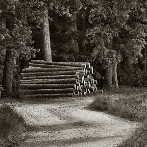 am Holzweg 2