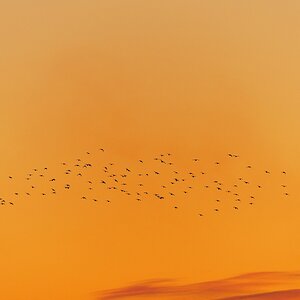 Abflug am Abend