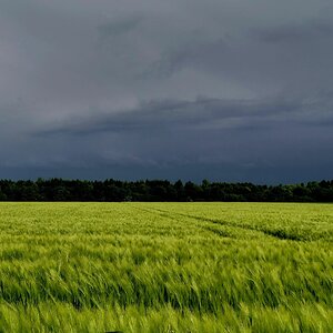 Nach dem Gewitter.