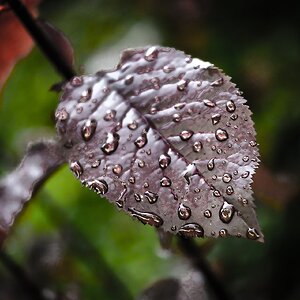 Nach dem Regen