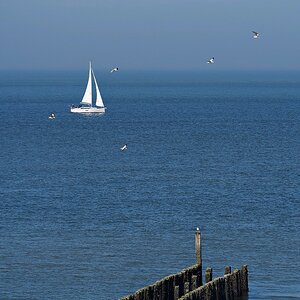 ... maritimes Dreierlei