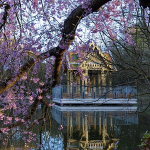 Frühling im Westpark