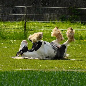 Entspannung