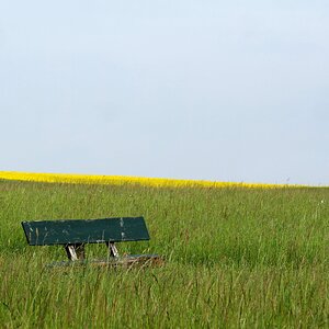 Ein Platz im Grünen