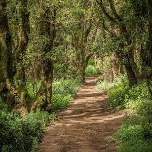 Wanderweg