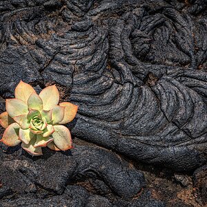 Lava (2)