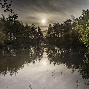 Schwenninger Moos