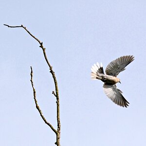 Abflug