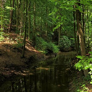 Kleiner Nebenfluss der Werre