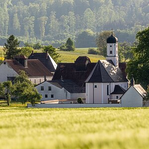 Die Kirche im Grünen