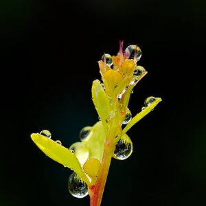 Rainy day today
