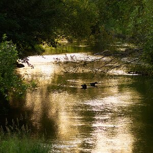 kleiner Fluss im Abendlicht