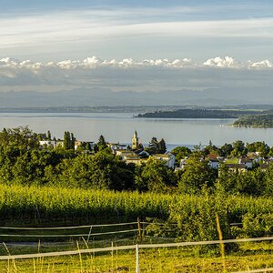 Bodensee