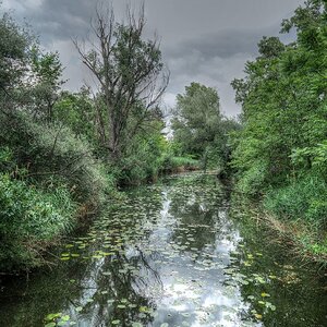 Lobau