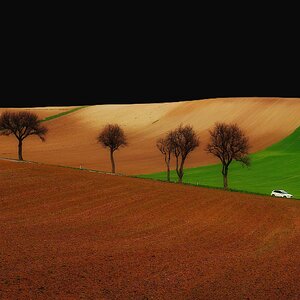 Landschaft