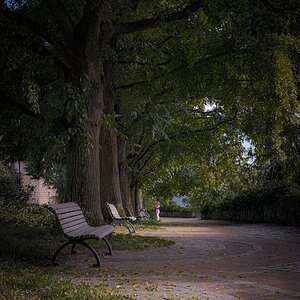 Abends im Park