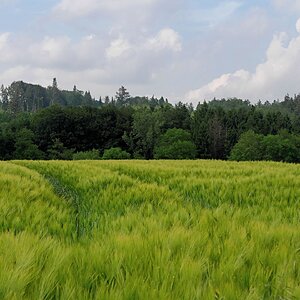 Alles im grünen Bereich