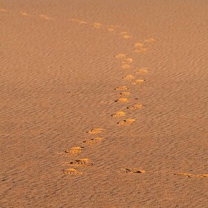 Fremde Spuren im Sand......