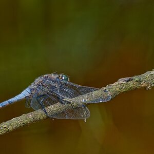 Die ersten Flugstunden
