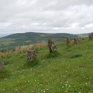 Nine stones