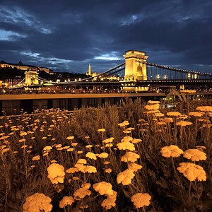 Landschaft mit Kettenbrücke