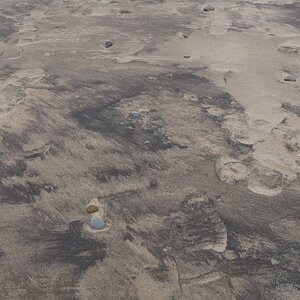 Spuren im Sand