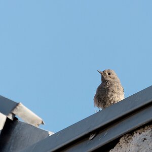 Mama? Wo bist du?