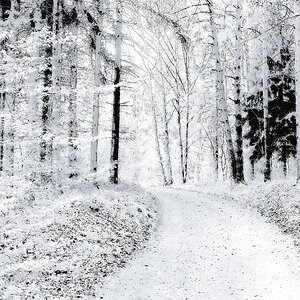 Wintertraum