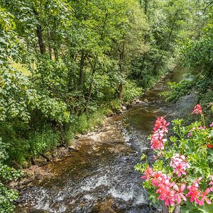 Alles im Fluss
