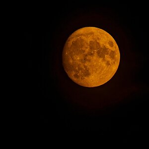 2026.06.27  Blutmond WAF
