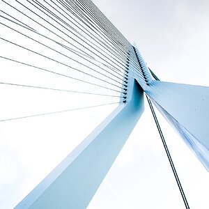 Harfe von Rotterdam