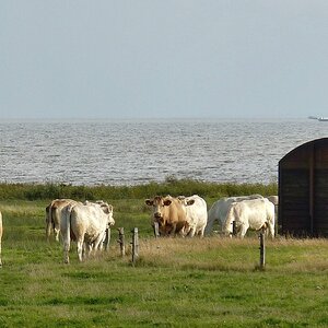 Sommerfrische am Meer