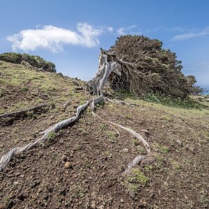 Vom Wind(e) verweht..