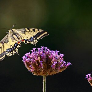 Abflug