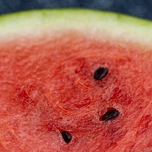 hk_260705_melone.JPG