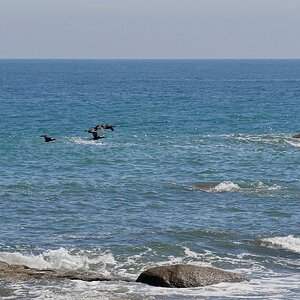 Über das Meer