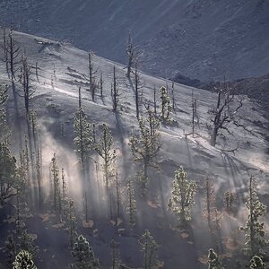 Lava (10)