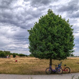 kurze Rast